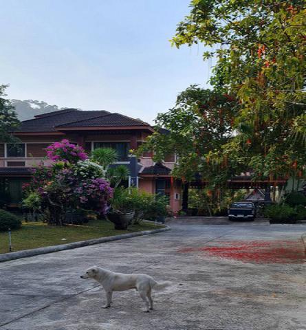 ขายบ้านเดี่ยวพร้อมสิ่งปลูกสร้างอื่นๆ บรรยากาศร่มรื่นแบบธรรมชาติ​สงบ​ร่มเย็น​  ไม่มีมลพิษรบกวน อยู่ในตัวเมืองระนอง เยื้องบิ๊กซีระนอง อำเภอเมืองระนอง จังหวัดระนอง