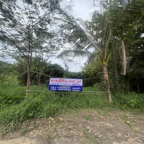 ขายที่ดินเปล่า2ไร่ ทำเลทอง  อำเภอเเก่งคอย จังหวัดสระบุรี