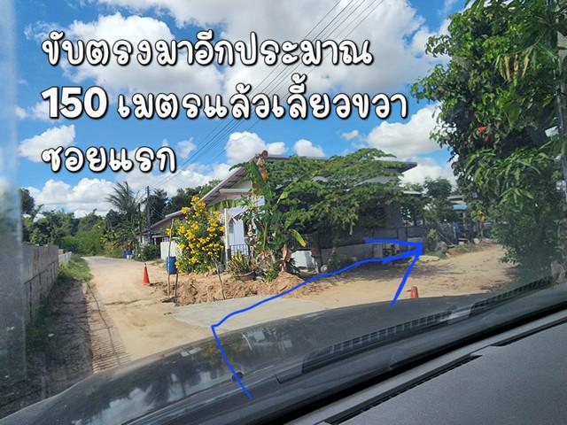 ขายที่ดินเจ้าของขายเอง ถนนตัดใหม่แถวบ้านปลาดุก ตำบลไร่น้อย  อำเภอเมือง จังหวัดอุบลราชธานี