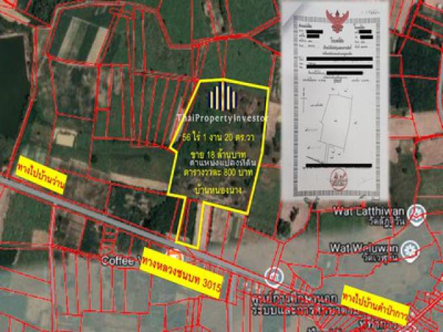ขายที่ดินเปล่า แปลงใหญ่ 56-1-28 ไร่ บ้านหนองนาง ท่าบ่อ หนองคาย รองรับทุกการขยายตัวของธุรกิจในอนาคต ไม่ว่าจะเป็น โกดังสินค้า