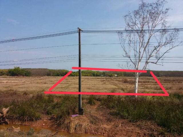ขายที่ดิน 9 ไร่ 3 งาน ติดถนน 212 หนองคาย-นครพนม ทำเลดีติดถนน 4 เลน