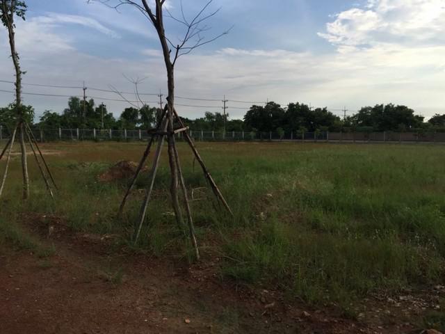 ขายที่ดินถมแล้ว พื้นที่ธรรมชาติ แหล่งชุมชน ติดริมแม่น้ำบางประกง ฉะเชิงเทรา