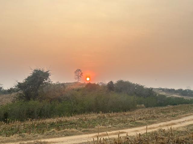ขายที่ดิน วิวภูเขา ทำเลทอง อำปากช่อง จังหวัดนครราชสีมา