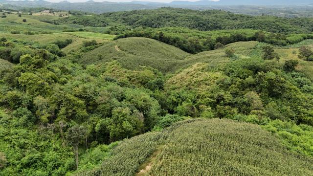 ขายที่ดิน วิวภูเขา ทำเลทอง อำปากช่อง จังหวัดนครราชสีมา