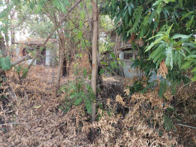 ขายที่ดินเปล่า ทำเลทอง ใกล้ ถนนโชคชัย-เดชอุดม อำเภอเดชอุดม จังหวัดอุบลราชธานี