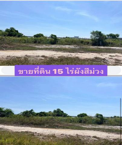 ขายที่ดินแปลงสวย สีมม่วงเข้ม ติดถนน 4 เลนส์ หน้านิคมอมตะชลบุรี  FP-L0212