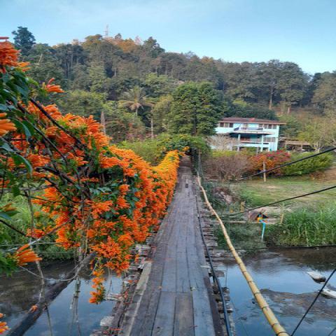 ขายรีสอร์ทโฮมสเตย์บ้านวิมานดอย อำเภอห้างฉัตร จังหวัดลำปาง เนื้อที่ 21 ไร่ 1 งาน 88 ตารางวา