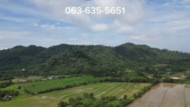 ขายที่สวนป่าติดคลอง 3 ไร่ ต.เขาพระ อ.เมือง จ.นครนายก ใกล้แหล่งสถานที่ท่องเที่ยวต่างๆ รีสอร์ทและร้านอาหาร มากมาย