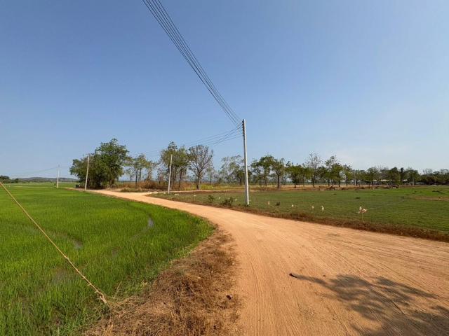 ขายที่ดินเปล่า ขนาด 5 ไร่ ทำเลดี ต.คุ้งตะเภา อ.เมืองอุตรดิตถ์ จ.อุตรดิตถ์