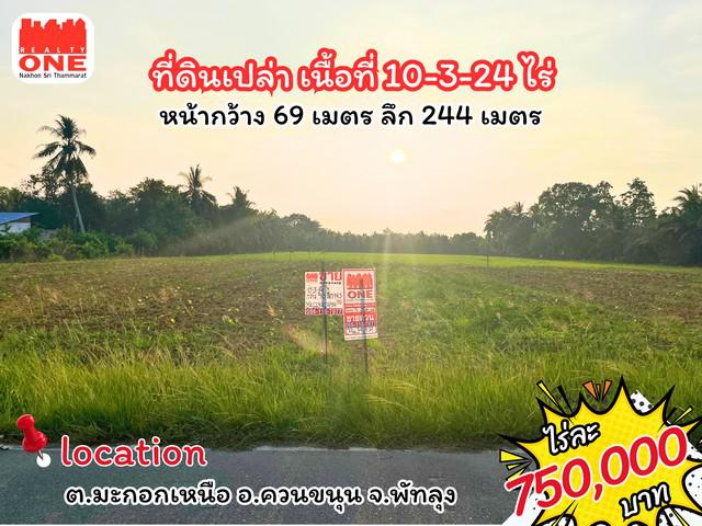 ที่ดินแปลงใหญ่ เนื้อที่ 10-3-24 ไร่ ทำเลดี ราคาสุดคุ้ม ทางเข้าชุมชนคลองเกา ม.2 ต.มะกอกเหนือ อ.ควนขนุน จ.พัทลุง