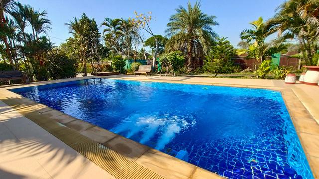 ลำลูกกา-คลอง12 พลูวิลล่า Wellness สระว่ายน้ำใส 8หลัง  Senior Complex เวลเนส  3.5ไร่ 5,600ตรม.