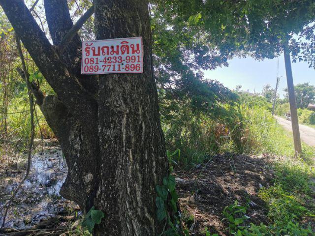 ขายที่ดินเปล่า​ เพชรเกษม​ 77/3​ สวัสดิการ​2​ ซอย​15 หลังหมู่บ้านวังทอง​ ตรงข้าม​ ม.เอเชีย  จังหวัดกรุงเทพมหานคร