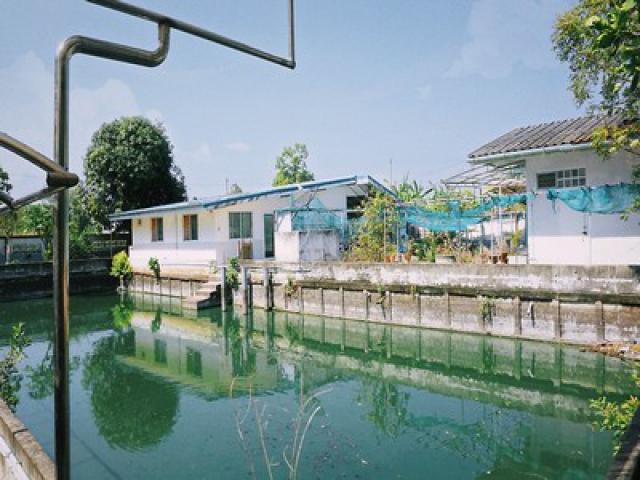ขายด่วน! บ้านสวน 2 ไร่ ลำลูกกา คลองสิบ ใกล้กรุงเทพฯ ซื้อมาทำบ้านพักตากอากาศ แต่ไม่มีเวลาไปอยู่ แปลงสวย บรรยากาศรีสอร์ต ที่ดินหน้ากว้าง