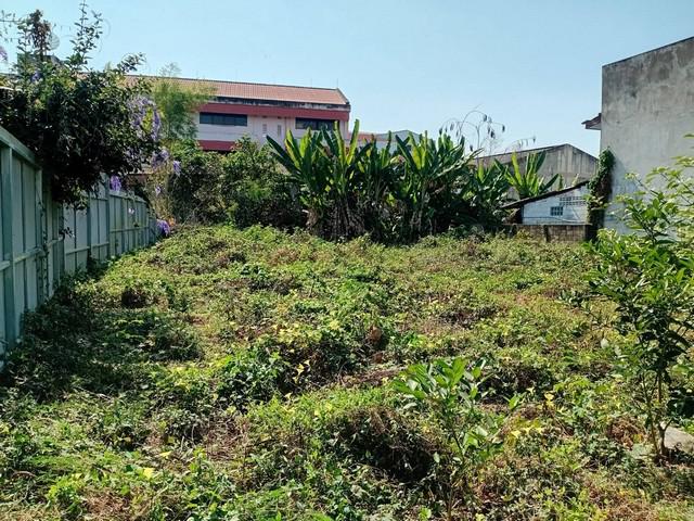 ขายที่ดิน 160 ตร.วา  ติดถนนปงสนุก  เวียงเหนือ   ในตัวเมืองลำปาง   ZN682