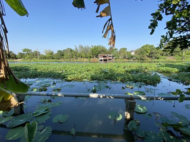 ขาย ที่ดิน 399.7 ตร.ว. นครปฐม ศาลายา พุทธมณฑล ราคาขาย 17,500,000 บาท (พร้อมโอน)