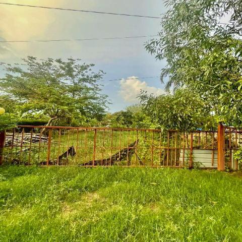 หนองเสือ คลอง14 251ตร.วา. รีบใช้เงิน ขาย ที่ดิน วัดประสิทธิเวช 4.2 กม.ติดถนนสาธารณะ ลาดยางแล้ว ตลาดธนกิจ หนองเสือ 5กม. ปทุมธานี