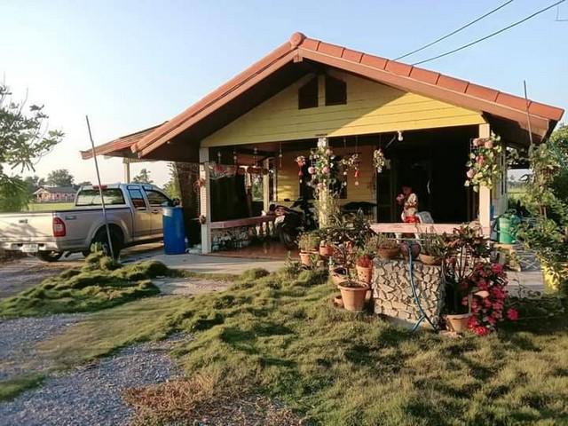 ขายบ้านพร้อมที่ดินวิวทุ่งนา อำเภอศรีประจันต์ จังหวัดสุพรรณบุรี เนื้อที่ 4 ไร่