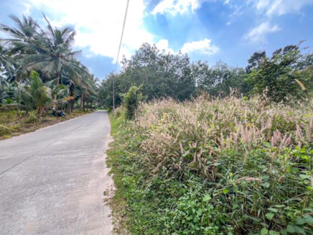 1 Rai Land in Taling Ngam, Koh Samui Ideal for 1–2 Pool Villas Close to Beach Quiet Area Perfect for Living or Rental Use