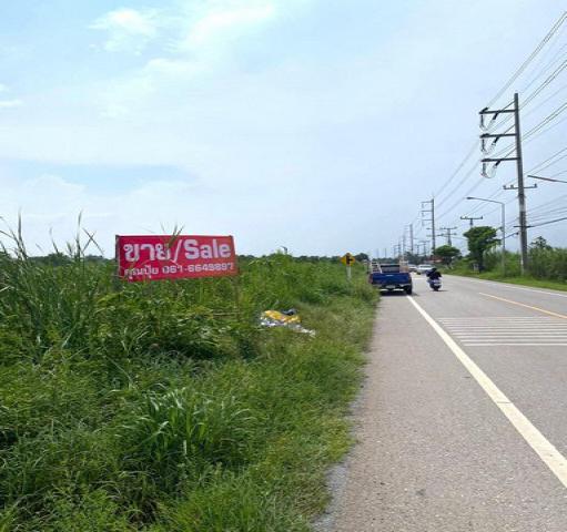 ขายที่เปล่าติดถนนบ้านแพ้ว-กระทุ่มแบน ส่วนตัว สงบ ร่มรื่น หน้ากว้างติดถนน 77 เมตร