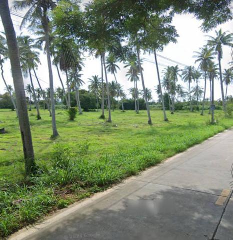 ที่ดินเปล่า ติดถนน 3 ด้าน ห่างจากถนนชบ. 1008 แค่ 400 เมตร เหมาะสร้างโรงแรม รีสอร์ท และหมู่บ้าน