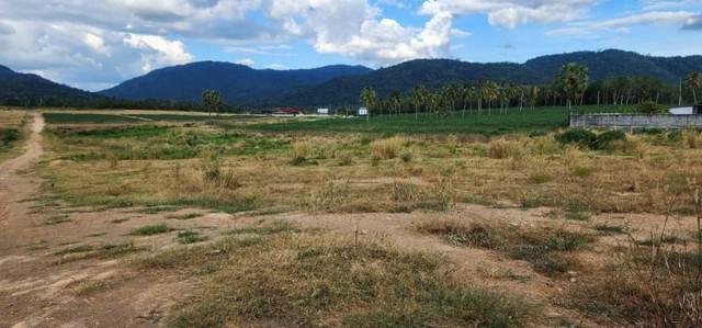 ขายที่ดินเขาคันทรง หุบบอน ศรีราชา แปลงสวย ห่างท่าเรือแหลมฉบัง 30 กม. FP-L0656