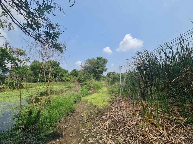 ที่ดิน - พ.ท. 11 Square Wah 3 ngan 0 RAI  ไม่ไกลจาก สนามบินสุวรรณภูมิ ราคาพิเศษ! กรุงเทพ
