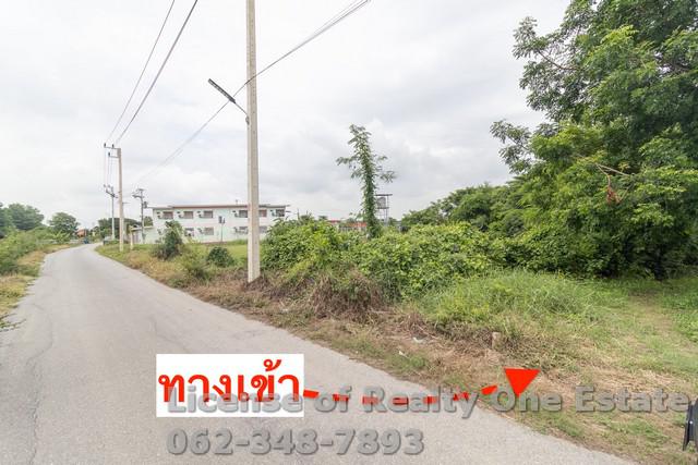 ขายที่ดิน ติดถนนลาดยาง ใกล้วัดไชยสงคราม ต.บ้านแห อ.เมือง จ.อ่างทอง