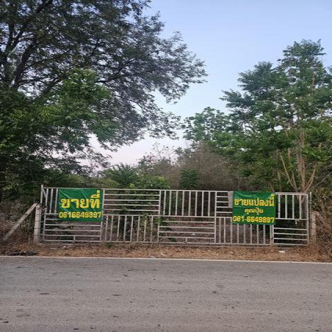 ขายที่เปล่าราชบุรีติดถนนทางหลวงชนบท ขายที่ดินใกล้หลวงพ่อวิริยังค์