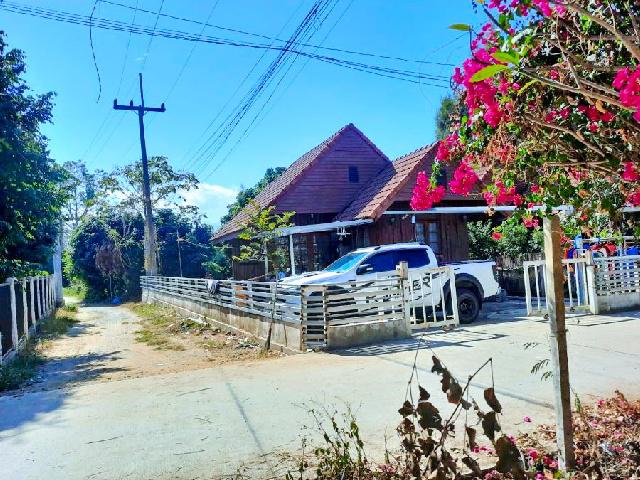 เทศบาลเมืองแม่โจ้ แม่ริม 2 นอน ให้เช่าบ้านเดี่ยว 1 ชั้น  หลังมุม 62ตร.วา.242ตร.ม. ตลาดแม่ริมพลาซ่า 3 กม