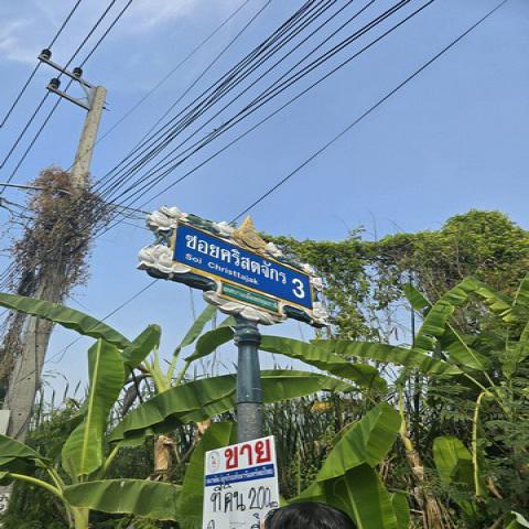 ที่ดิน -  25000 BAHT. ใกล้ โรงเรียนปทุมวิไล ศาลากลางปทุมธานี โลตัสปทุมธานี โรงพยาบาลปทุมธานี อยู่ย่านใจกลางเมืองปทุม เขตชุมชน ราคาไม่แรง ปทุมธานี   