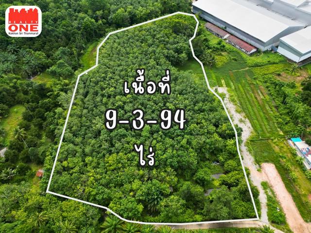 ที่ดินสวนผสม 9-3-94 ไร่ ผลิตผลพร้อมเก็บเกี่ยว สร้างรายได้ทันที ต.โพธิ์เสด็จ
