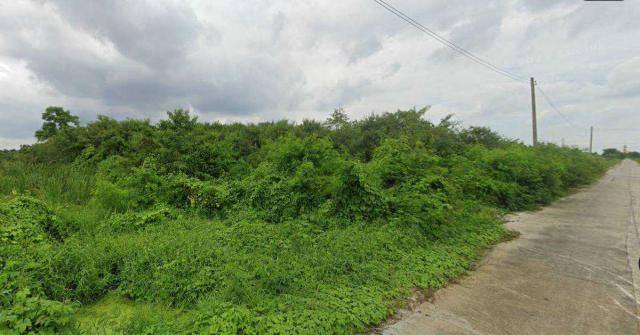 ขายที่ดินเปล่า ถ.รังสิต นครนายก ต.ลำผักกูด อ.ธัญบุรี จ.ปทุมธานี