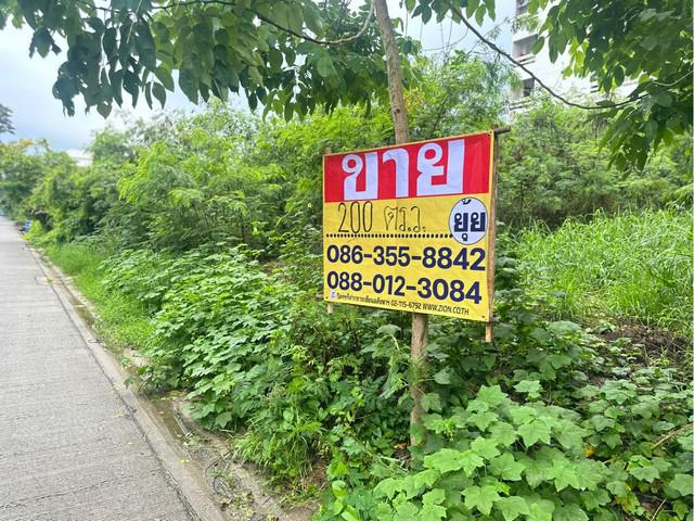 ขายที่ดิน  200ตารางวา  ซอยงามวงศ์วาน 43 แยก2-9 ทุ่งสองห้อง   หลักสี่ 