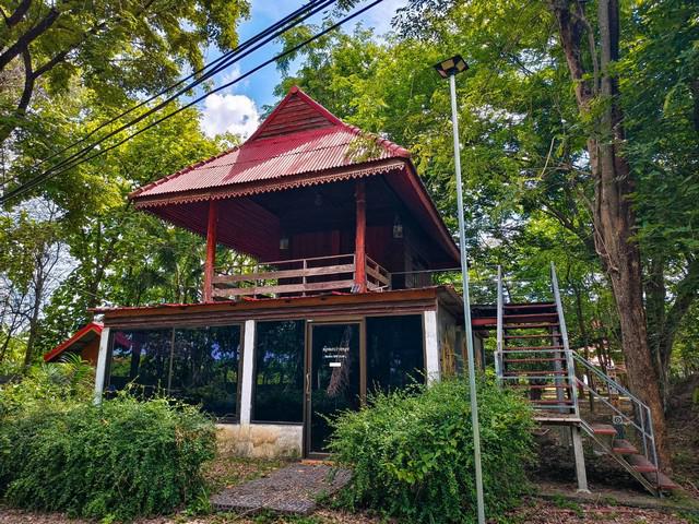 ขายที่ดินทำเลทองพร้อมสิ่งปลูกสร้าง บนเนื้อที่ 18 ไร่ 2 งาน 19 ตารางวา พิษณุโลก