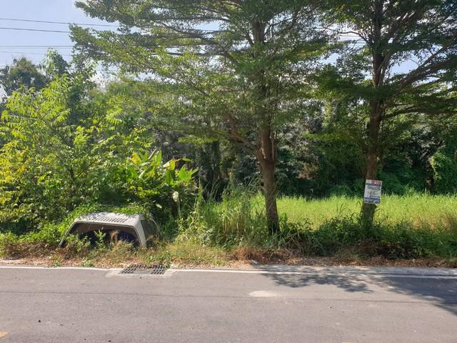 พื้นที่ดิน - 1000000 -  พท. 10 ตร.ว. 0 NGAN 0 Rai ไม่ไกลจาก – บิ๊กซี  – โลตัส  – ดูโฮม  – วัดอัยยิการาม  – ตลาดต้นไม้ คลอง 9  – โรงเรียนสารสาสน์วิเทศรังสิต คลอง 7  – โรงเรียนจุฑารัตน์วิทยา  – โรงเรียนวัดอัยยิการาม  – โรงพยาบาลธัญบุรี  – โรงพยาบาลคลอง